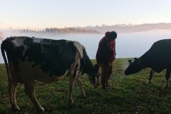 threema-20211121-161638389